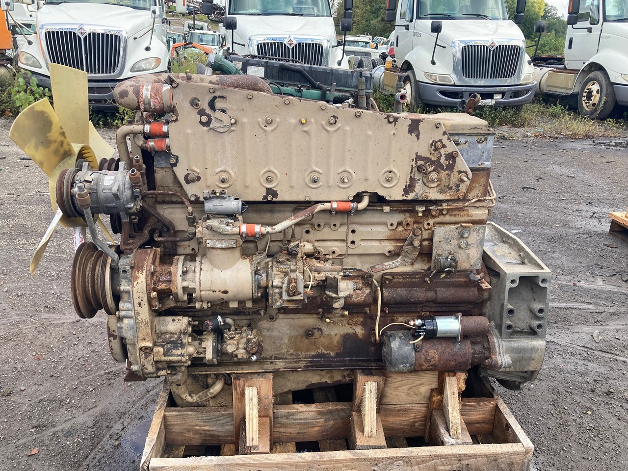 1989 Cummins NTC300 Big Cam 4 Diesel Engine